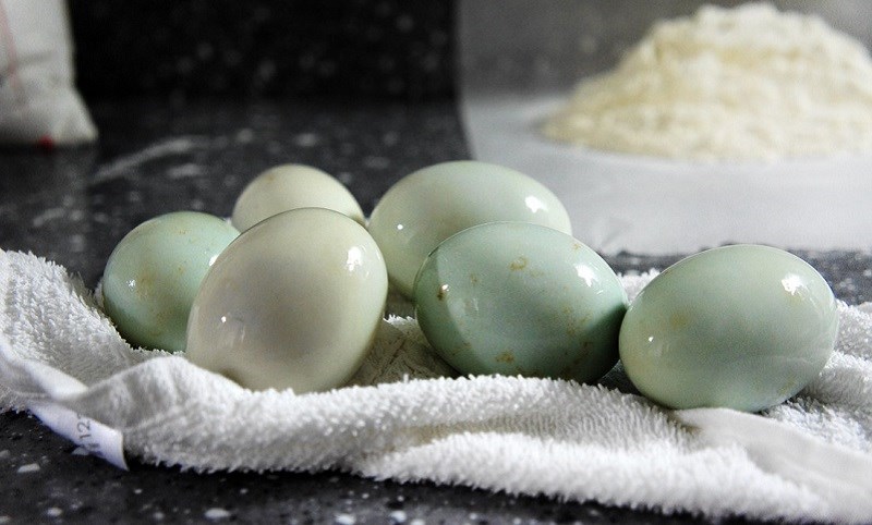Bạn đang tìm nơi mua trứng gà sạch giao tận nơi Đồng Nai uy tín, đảm bảo chất lượng, giá cả hợp lý và phục vụ tận nơi? Trong thời đại mà sức khỏe trở thành ưu tiên hàng đầu, việc lựa chọn nguồn thực phẩm tươi – sạch – an toàn là điều không thể bỏ qua. Và nếu trứng là một phần không thể thiếu trong bữa cơm gia đình bạn, thì Vựa Trứng Thành Nhiên chính là địa chỉ bạn đang cần.