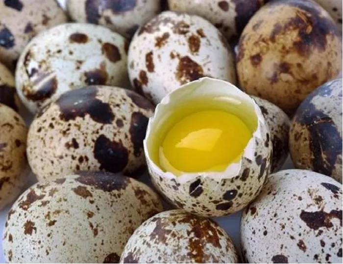 BÁN TRỨNG GÀ CÔNG NGHIỆP GIÁ RẺ ĐỒNG NAI