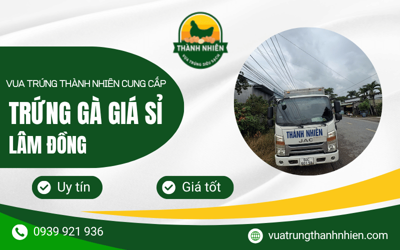 trứng gà giá sỉ Lâm Đồng