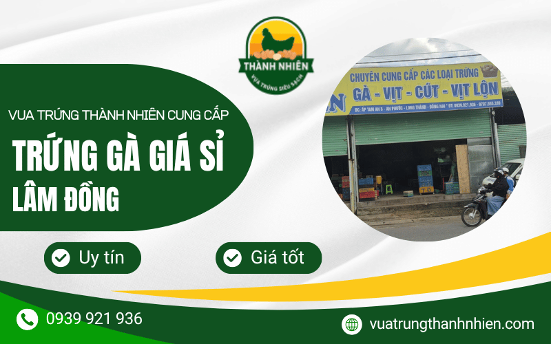 trứng gà giá sỉ Lâm Đồng