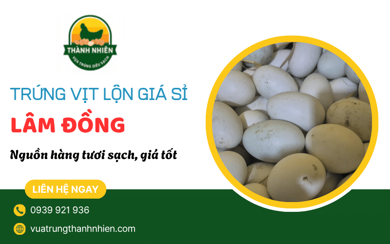 trứng vịt lộn giá sỉ Lâm Đồng