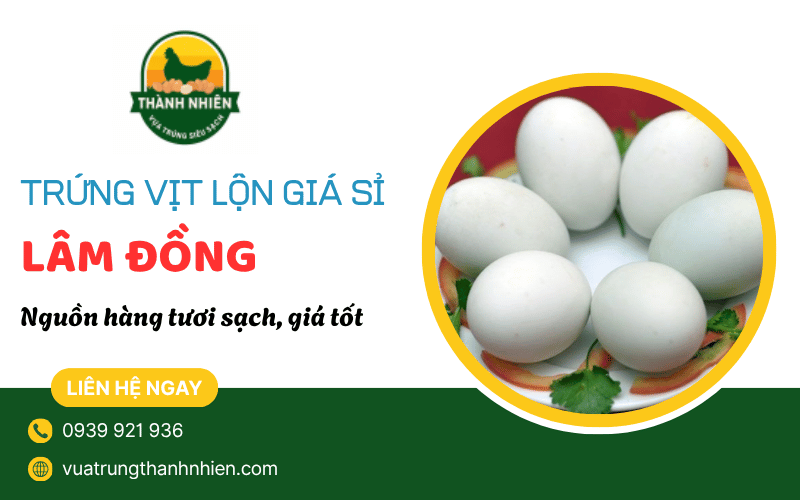 trứng vịt lộn giá sỉ Lâm Đồng