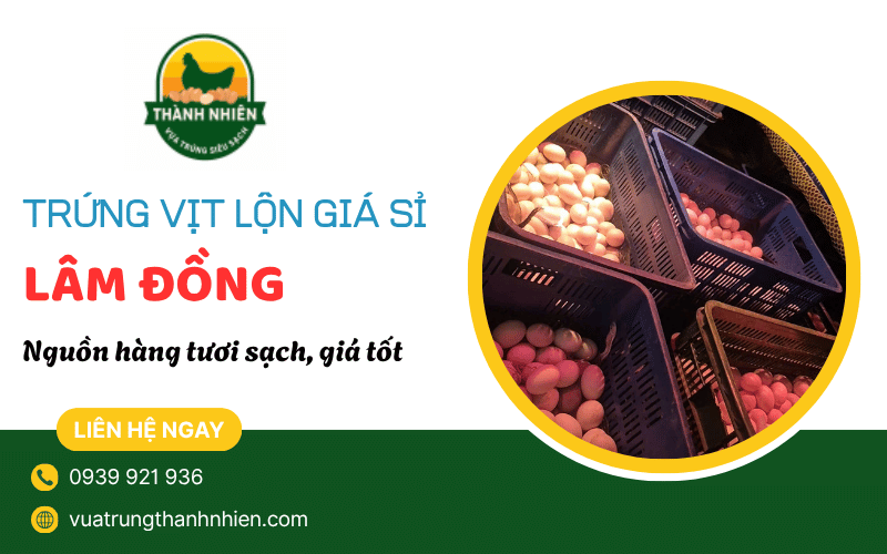 trứng vịt lộn giá sỉ Lâm Đồng