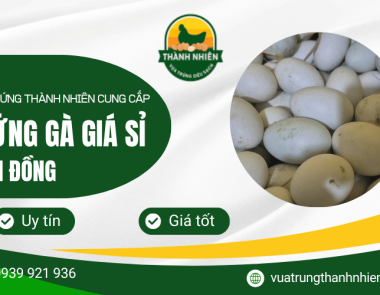 Vựa Trứng Thành Nhiên cung cấp trứng gà giá sỉ Lâm Đồng uy tín, giá tốt