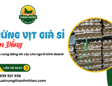 Trứng vịt giá sỉ Lâm Đồng: Nguồn cung đáng tin cậy cho người kinh doanh