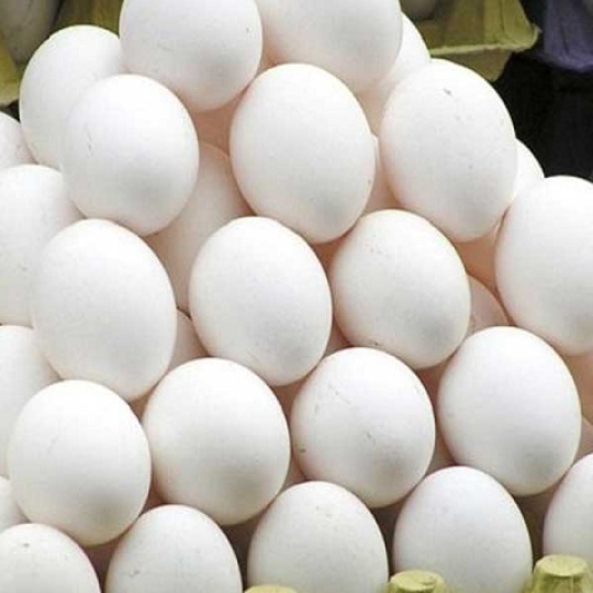 Trứng Vịt 22,5 Ký