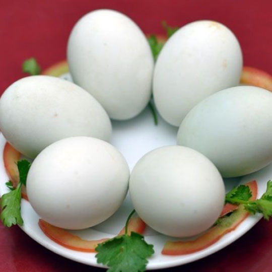 Trứng Vịt Lộn